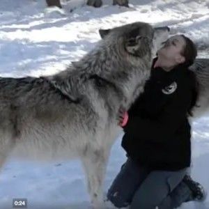 Meet your Posher, Regina